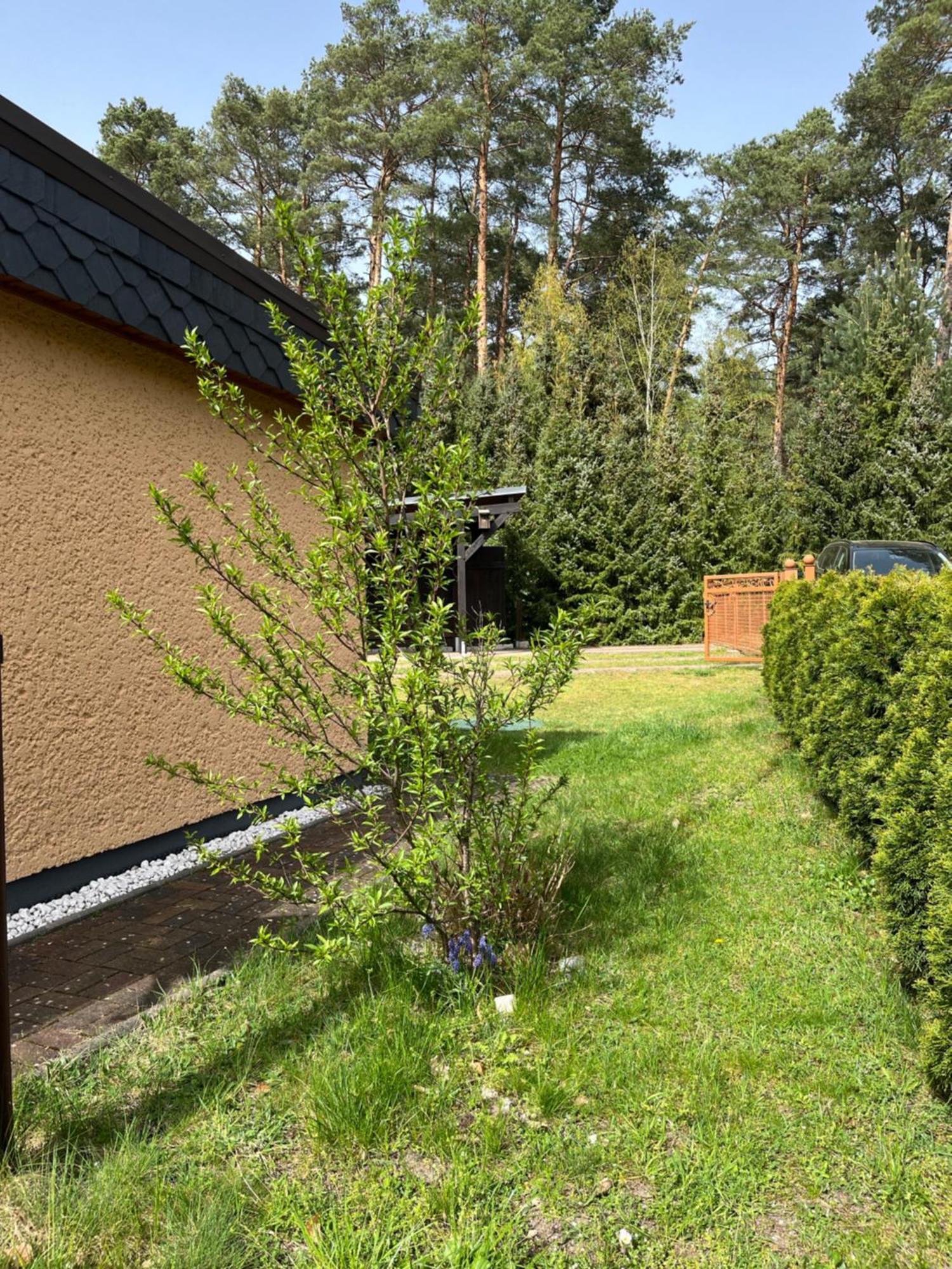 Ferienhaus Fjola Schenkendobern Экстерьер фото