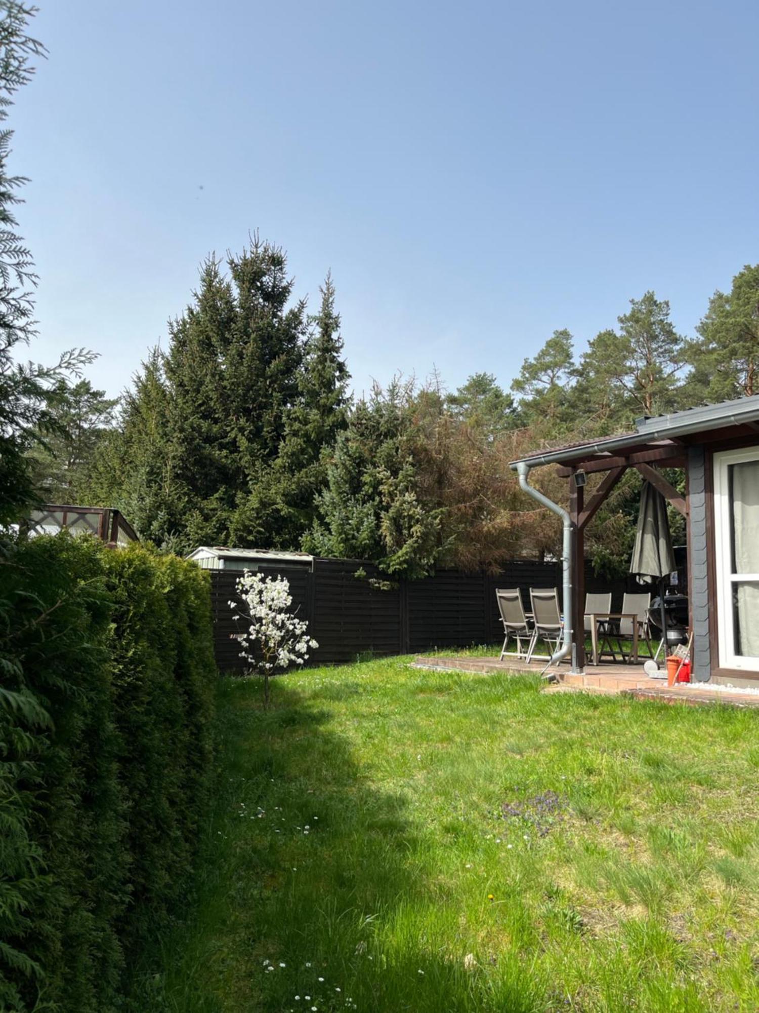Ferienhaus Fjola Schenkendobern Экстерьер фото